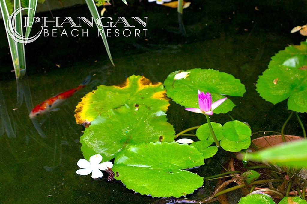 Phangan Beach Resort Baan Tai Exteriér fotografie